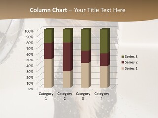 Bathroom Shower Water PowerPoint Template