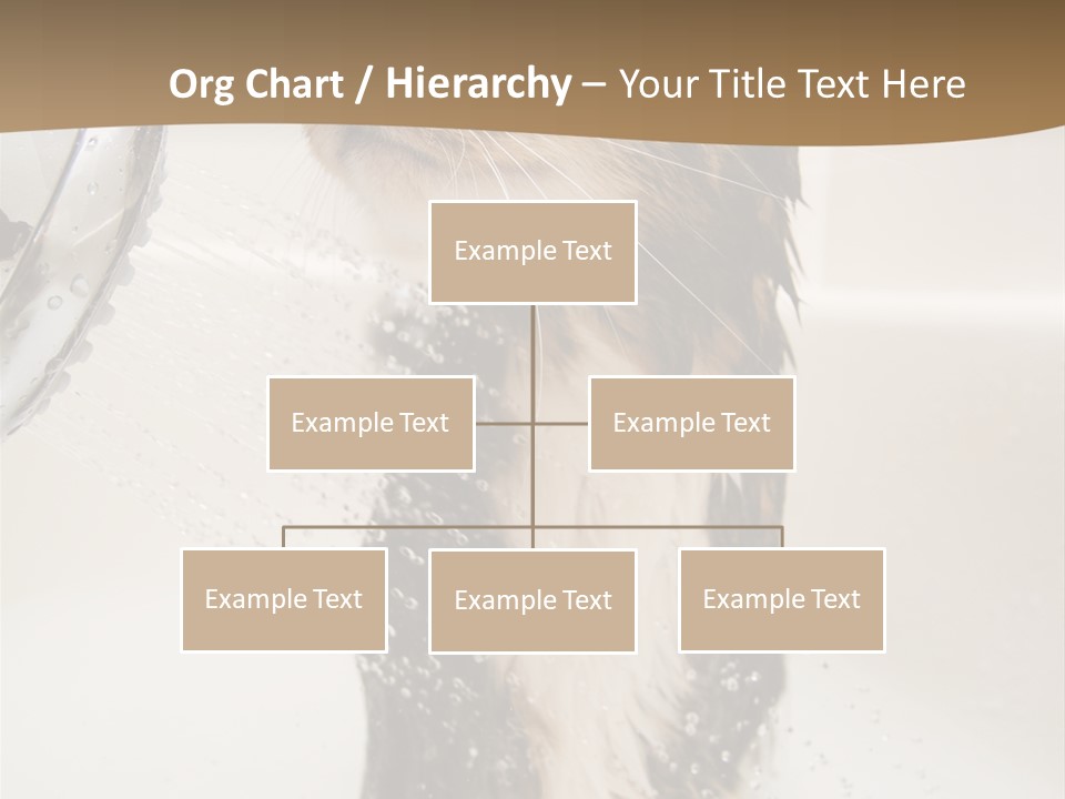 Bathroom Shower Water PowerPoint Template