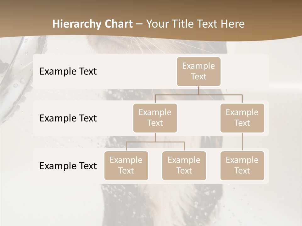 Bathroom Shower Water PowerPoint Template