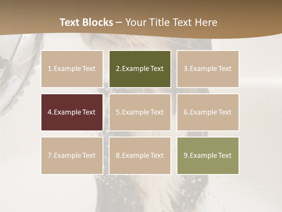 Bathroom Shower Water PowerPoint Template