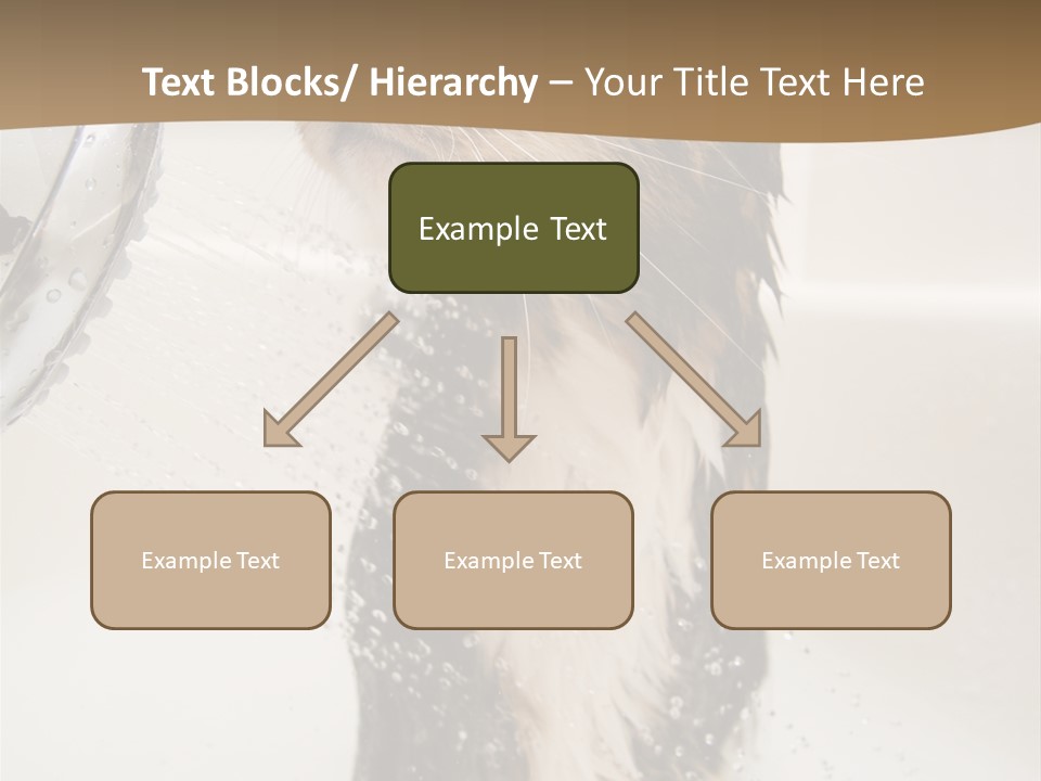 Bathroom Shower Water PowerPoint Template