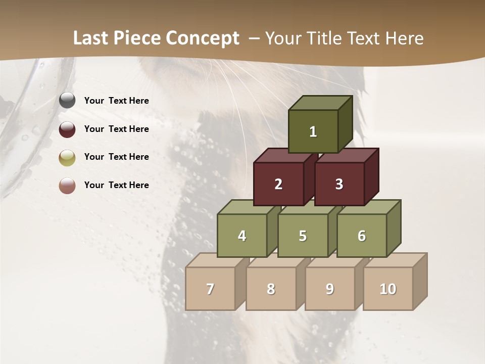 Bathroom Shower Water PowerPoint Template