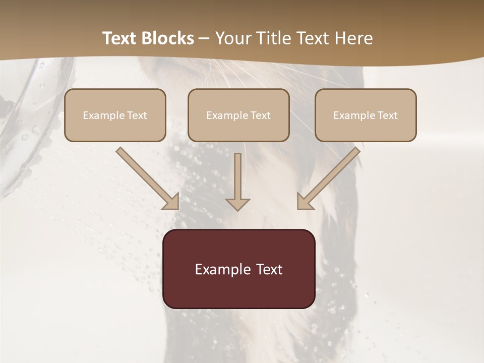 Bathroom Shower Water PowerPoint Template