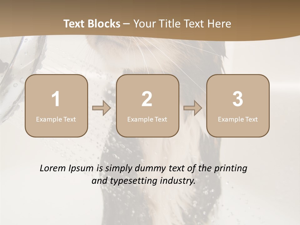 Bathroom Shower Water PowerPoint Template