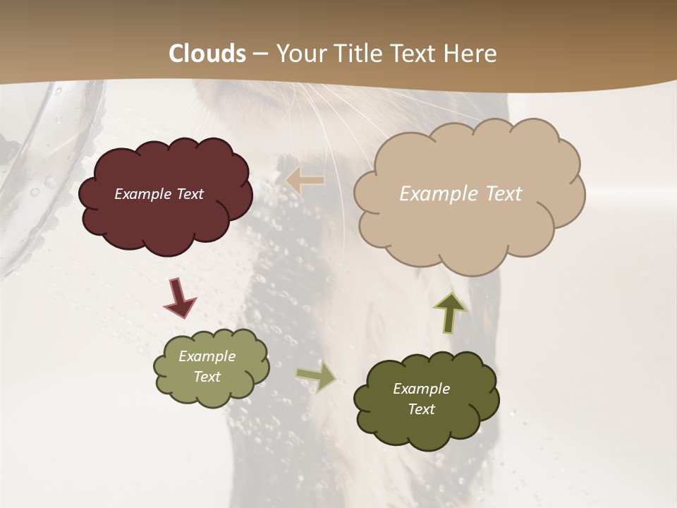 Bathroom Shower Water PowerPoint Template