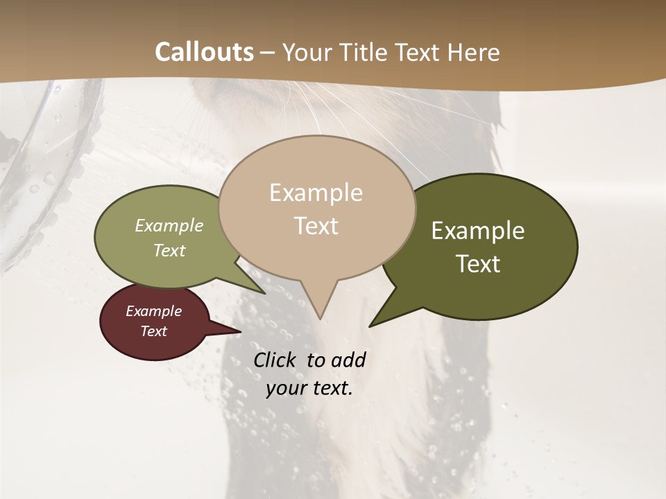 Bathroom Shower Water PowerPoint Template