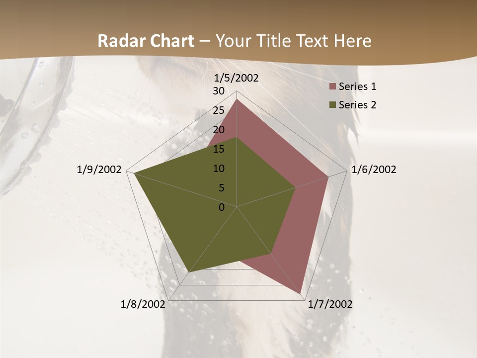 Bathroom Shower Water PowerPoint Template
