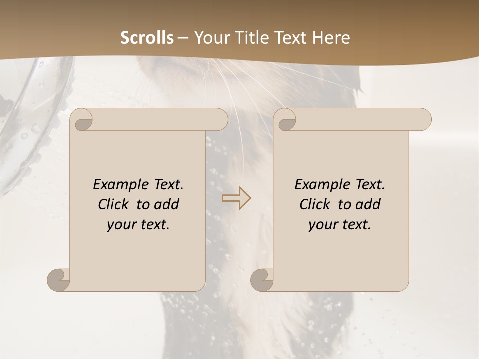 Bathroom Shower Water PowerPoint Template