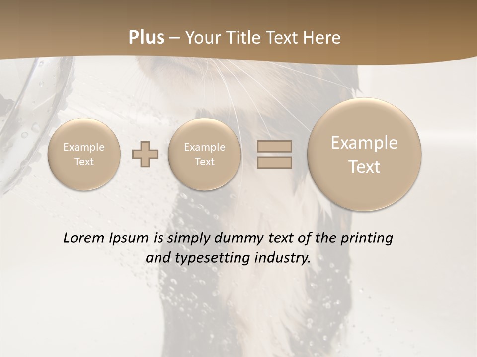 Bathroom Shower Water PowerPoint Template