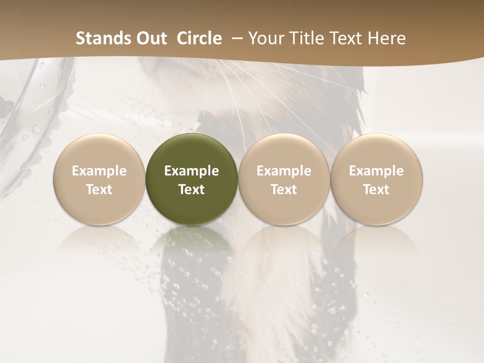 Bathroom Shower Water PowerPoint Template