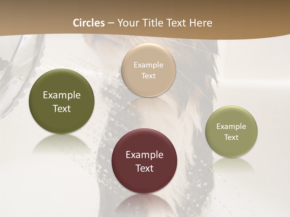 Bathroom Shower Water PowerPoint Template