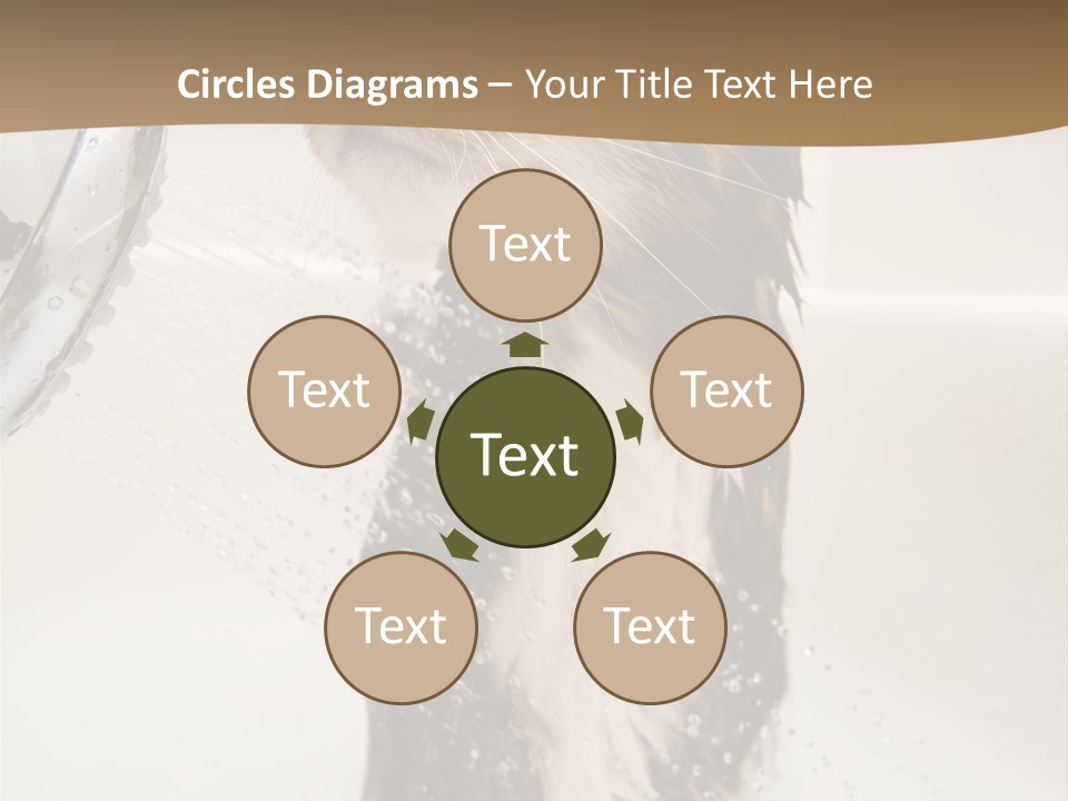 Bathroom Shower Water PowerPoint Template