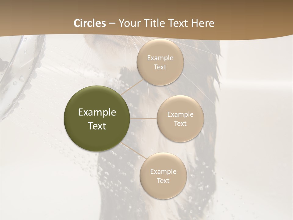 Bathroom Shower Water PowerPoint Template