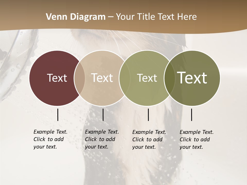 Bathroom Shower Water PowerPoint Template