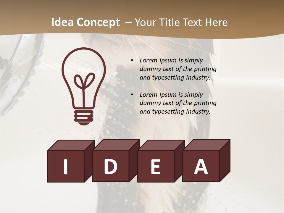 Bathroom Shower Water PowerPoint Template