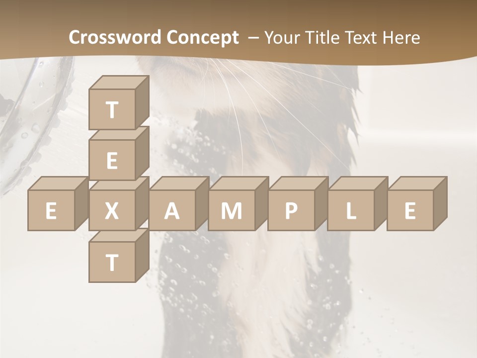 Bathroom Shower Water PowerPoint Template