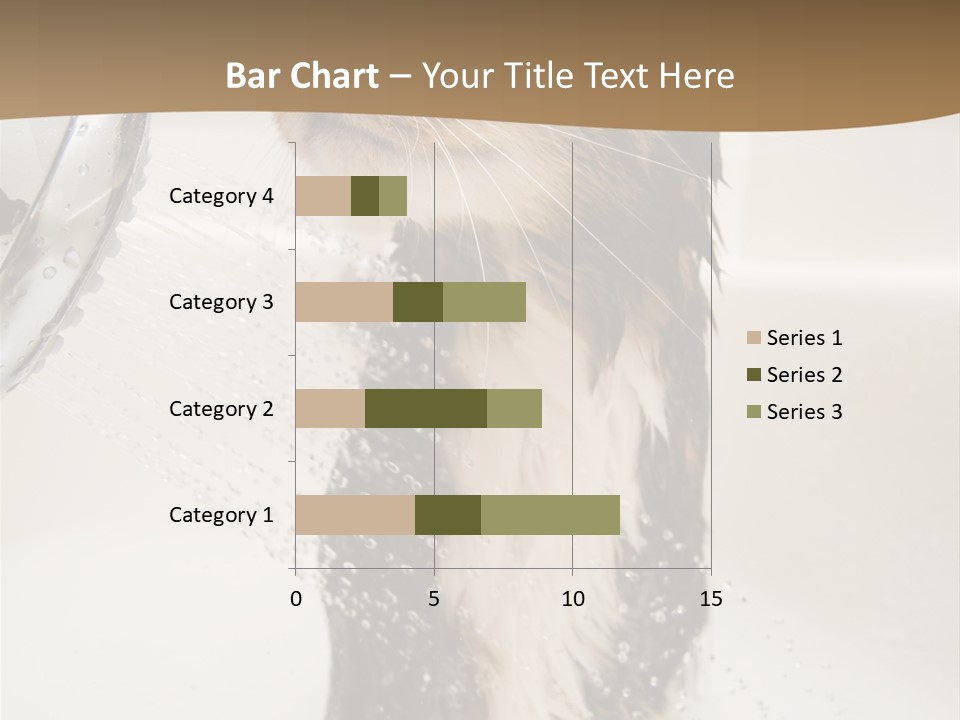 Bathroom Shower Water PowerPoint Template