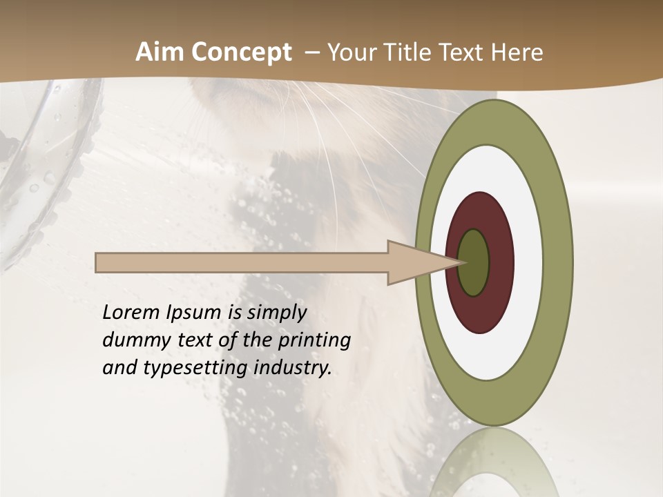 Bathroom Shower Water PowerPoint Template