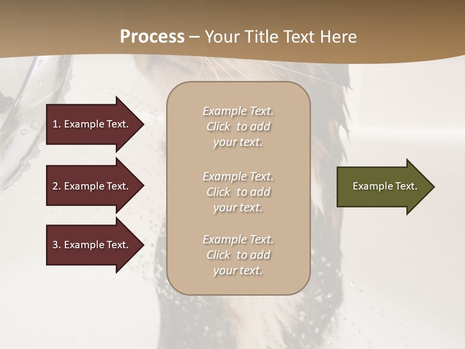 Bathroom Shower Water PowerPoint Template
