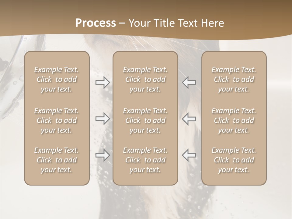 Bathroom Shower Water PowerPoint Template