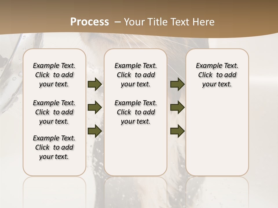 Bathroom Shower Water PowerPoint Template