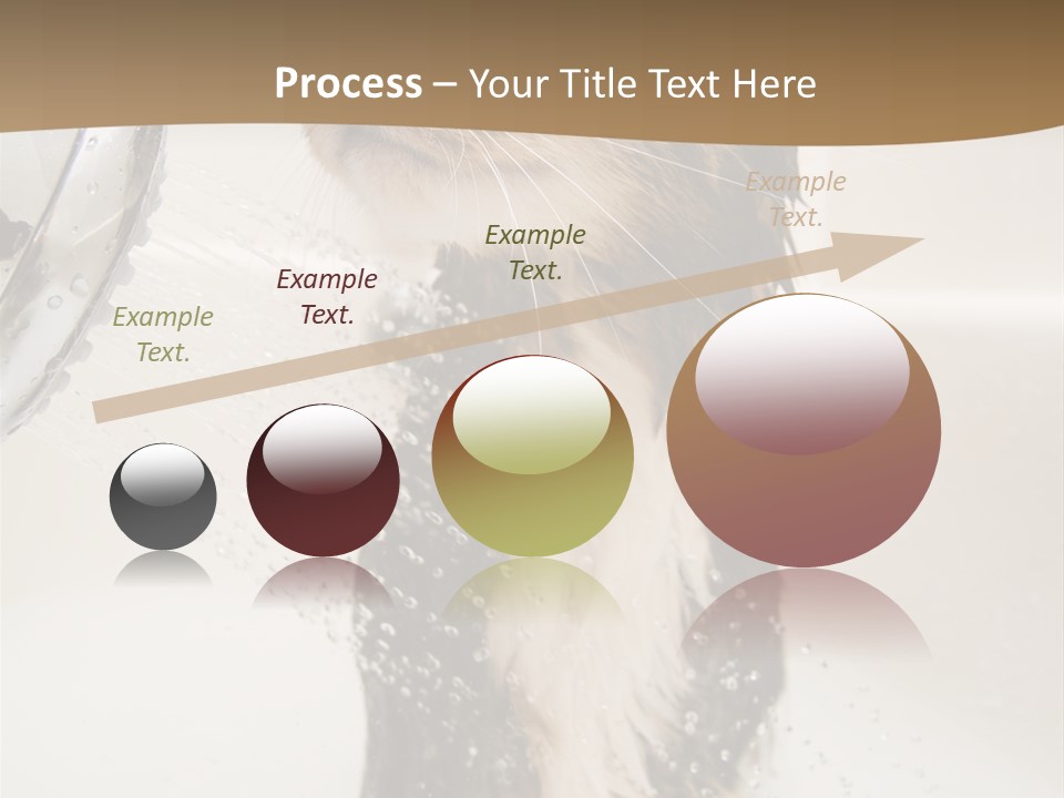 Bathroom Shower Water PowerPoint Template