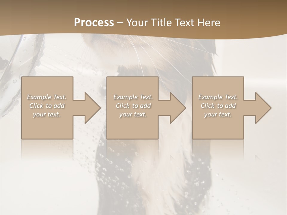 Bathroom Shower Water PowerPoint Template