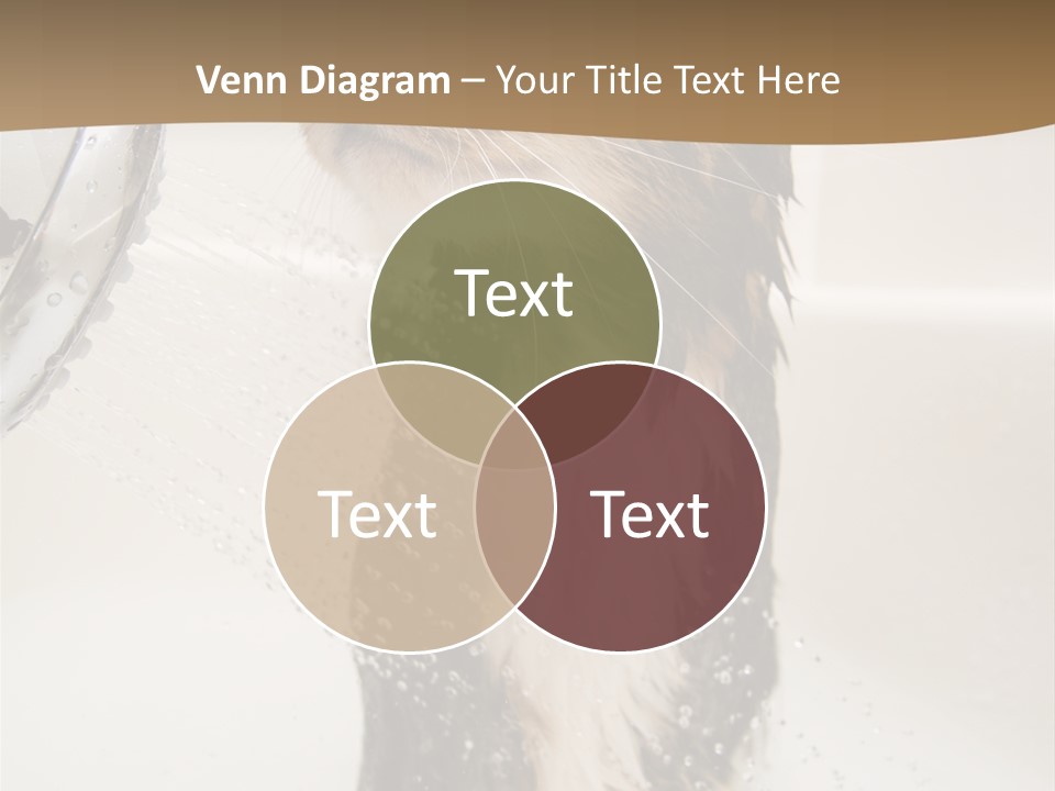 Bathroom Shower Water PowerPoint Template