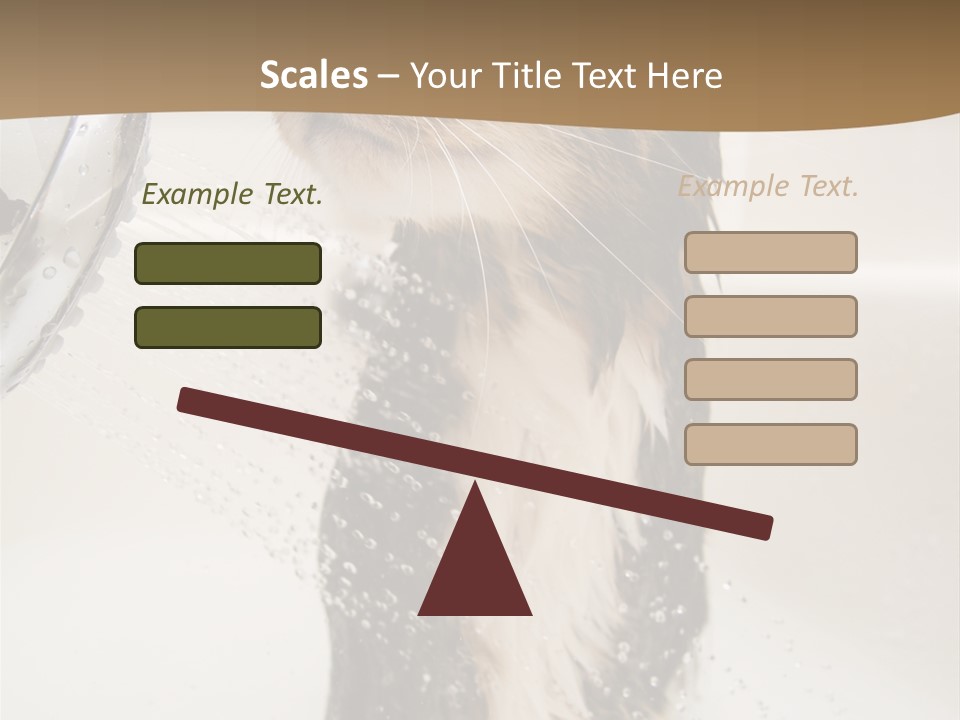 Bathroom Shower Water PowerPoint Template