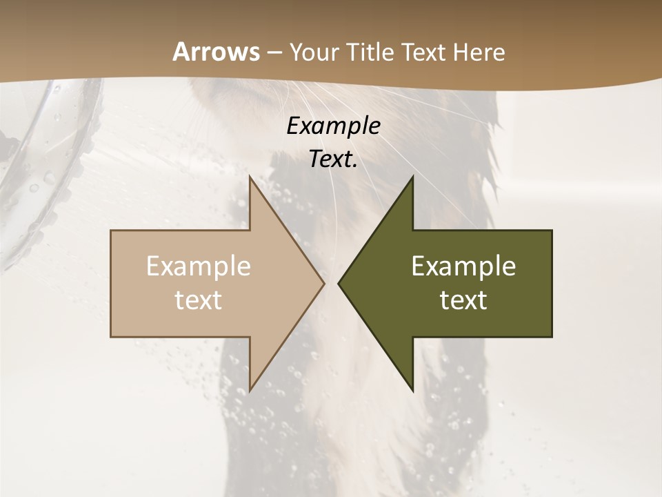 Bathroom Shower Water PowerPoint Template