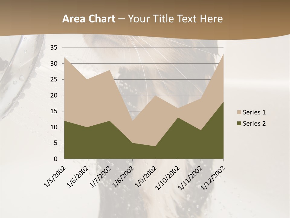 Bathroom Shower Water PowerPoint Template