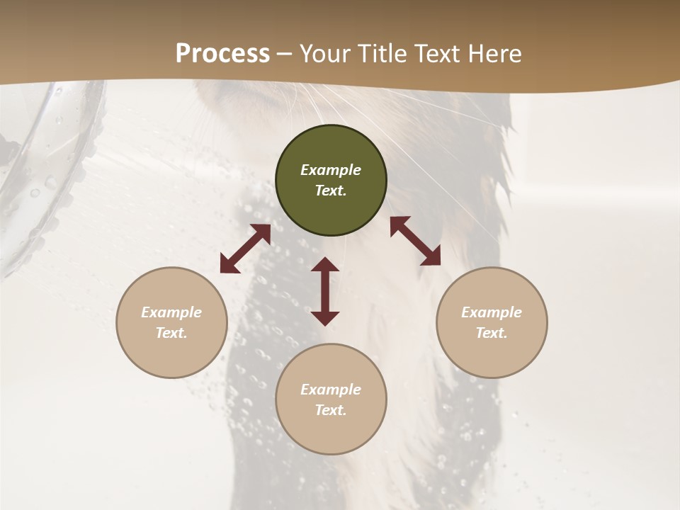 Bathroom Shower Water PowerPoint Template