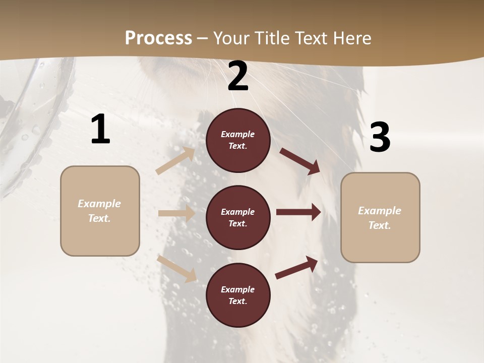 Bathroom Shower Water PowerPoint Template