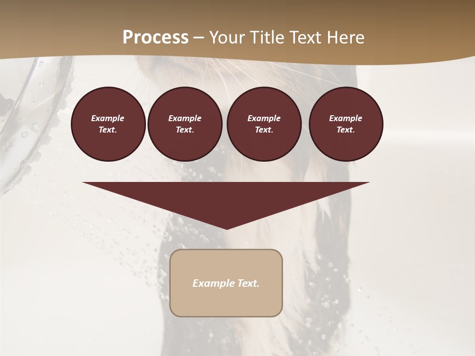 Bathroom Shower Water PowerPoint Template