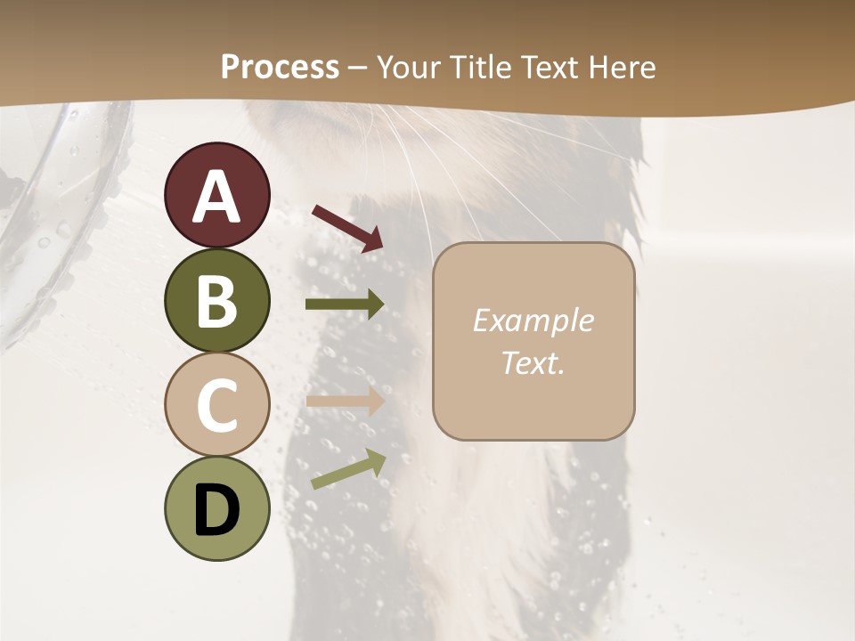 Bathroom Shower Water PowerPoint Template