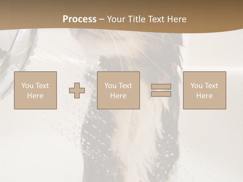 Bathroom Shower Water PowerPoint Template