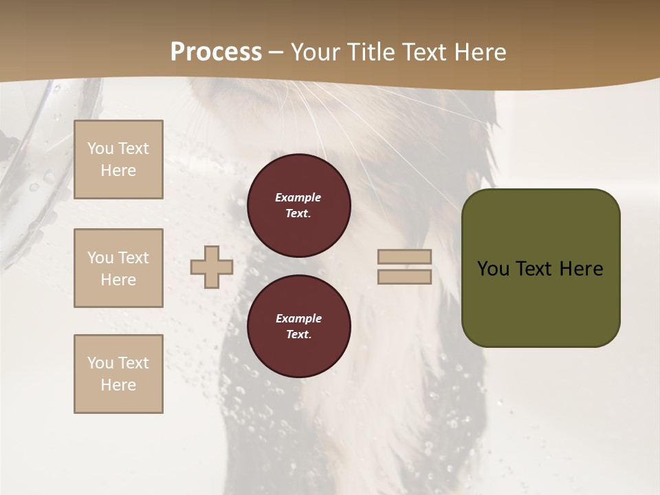 Bathroom Shower Water PowerPoint Template