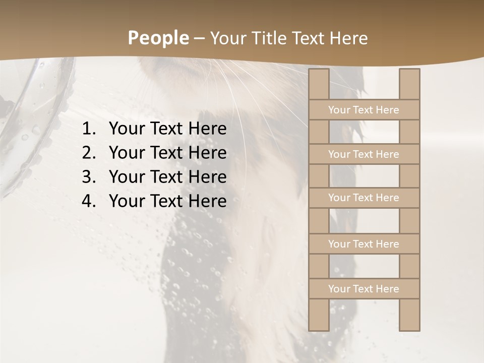 Bathroom Shower Water PowerPoint Template