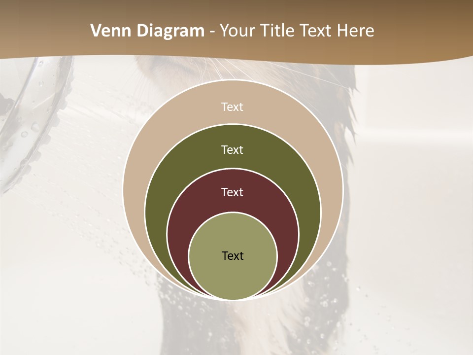 Bathroom Shower Water PowerPoint Template