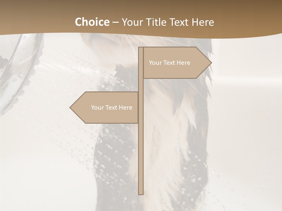 Bathroom Shower Water PowerPoint Template