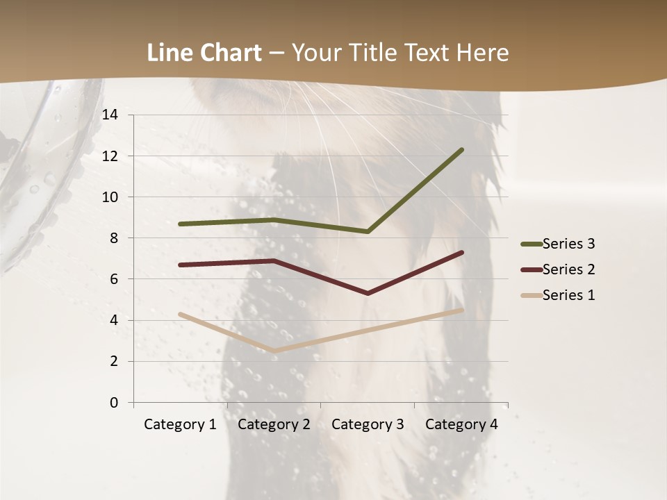 Bathroom Shower Water PowerPoint Template