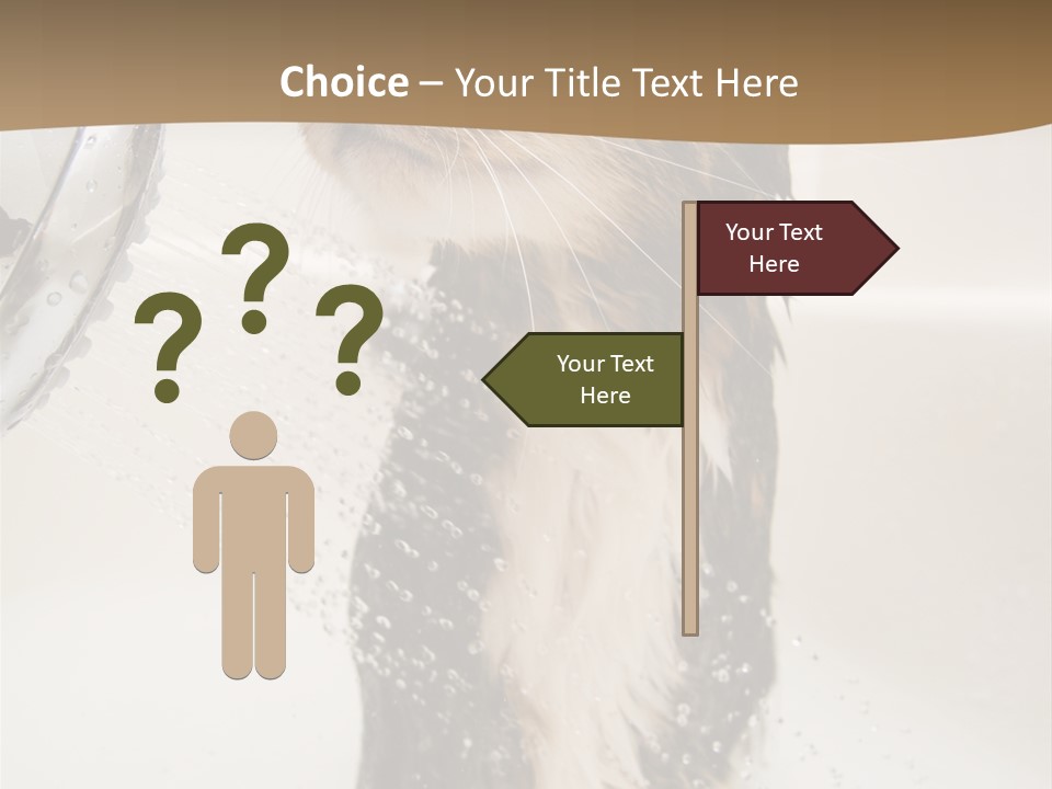 Bathroom Shower Water PowerPoint Template