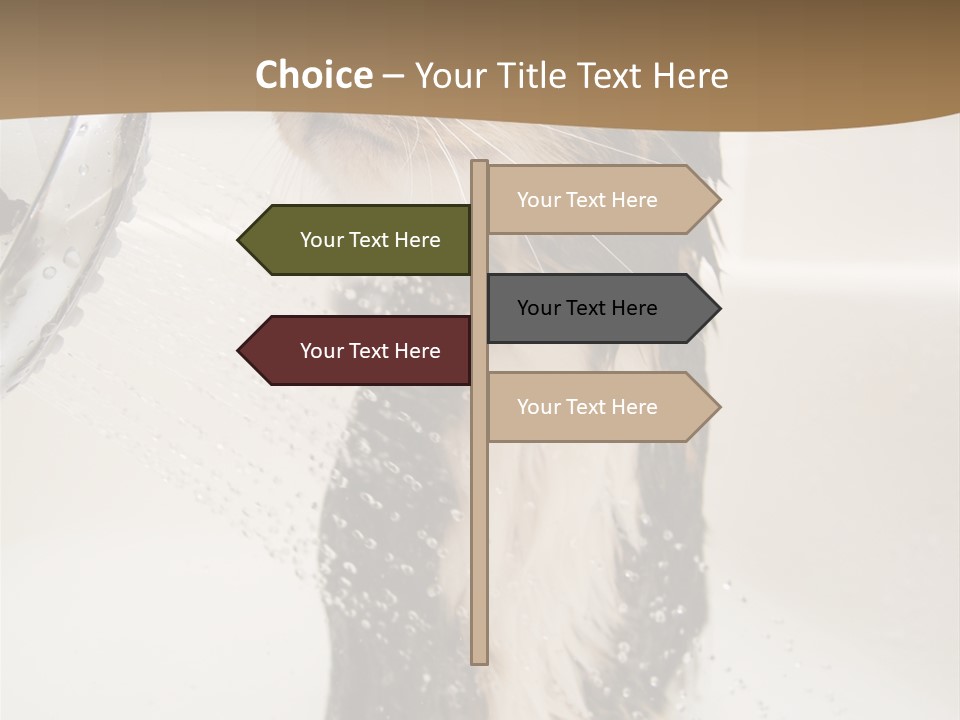 Bathroom Shower Water PowerPoint Template