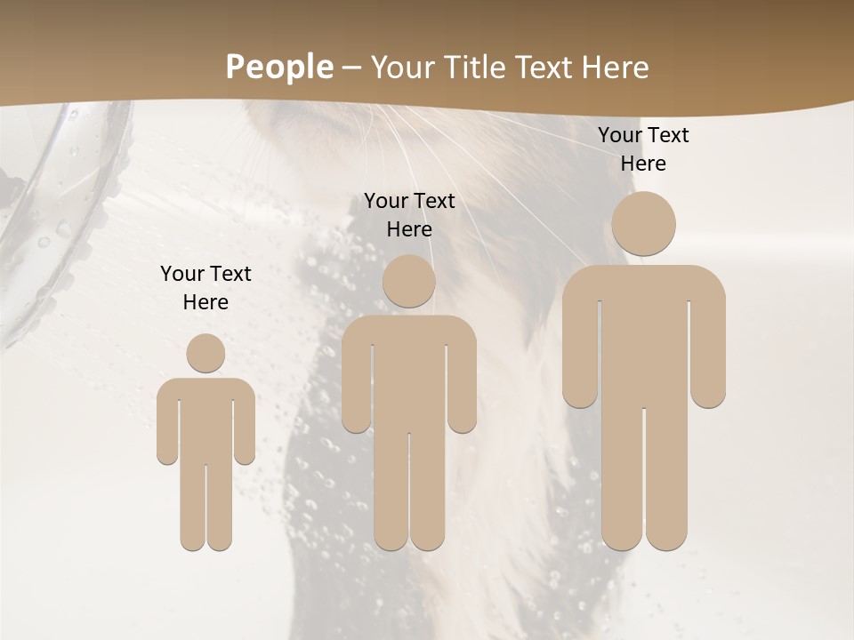 Bathroom Shower Water PowerPoint Template