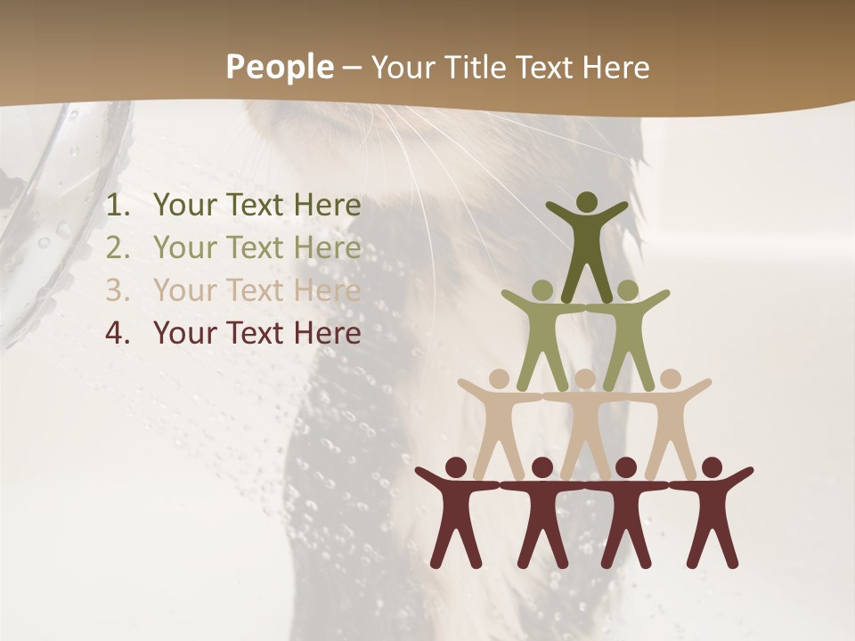 Bathroom Shower Water PowerPoint Template