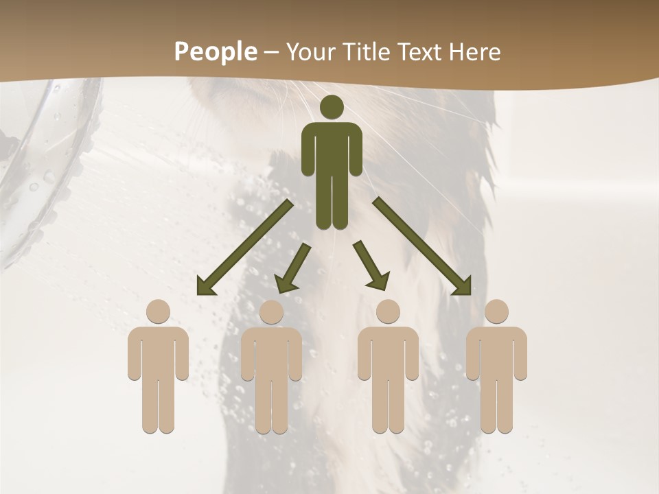 Bathroom Shower Water PowerPoint Template