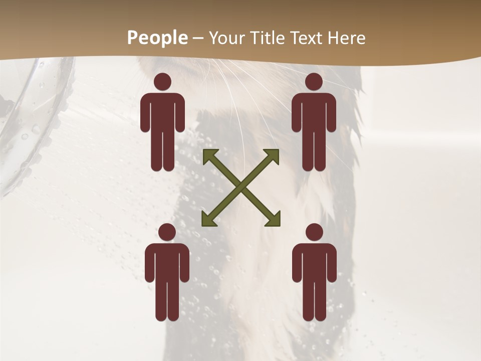 Bathroom Shower Water PowerPoint Template