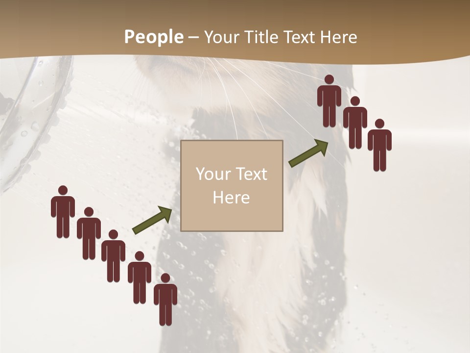 Bathroom Shower Water PowerPoint Template