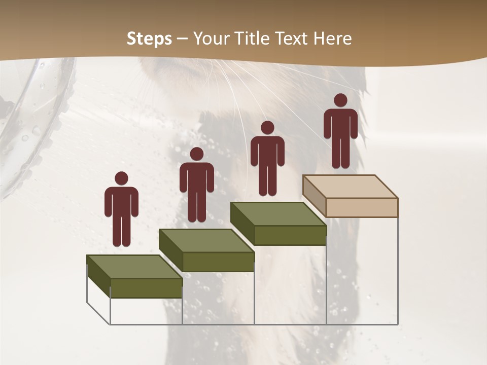 Bathroom Shower Water PowerPoint Template