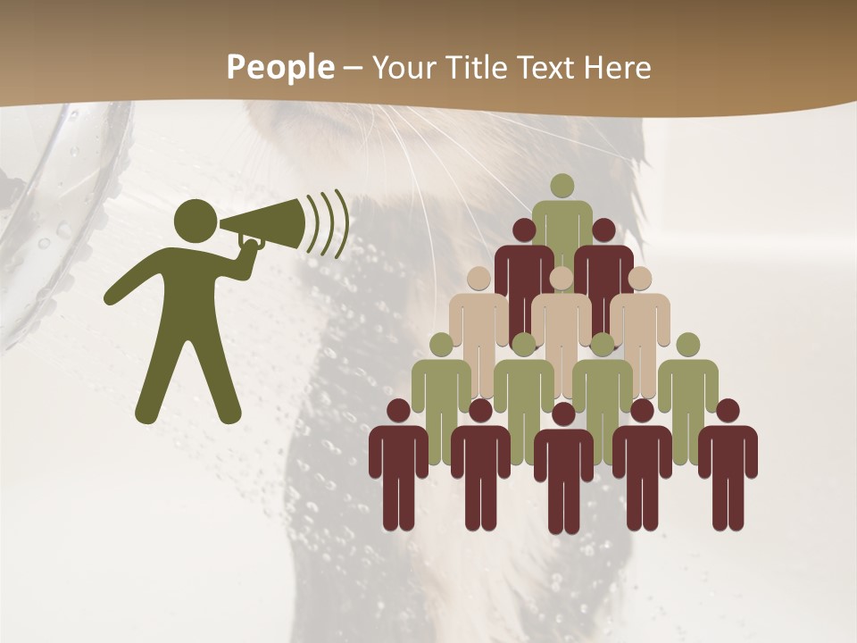 Bathroom Shower Water PowerPoint Template